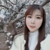 80dj舞曲