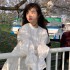 80dj舞曲
