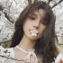 80dj舞曲