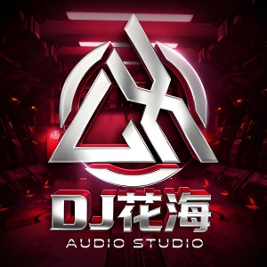 Dj花海